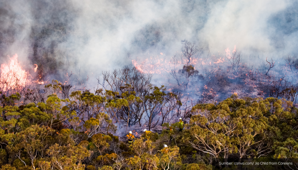 Drone deteksi api kebakaran