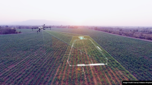 drone untuk perkebunan