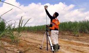 drone pemetaan perkebunan