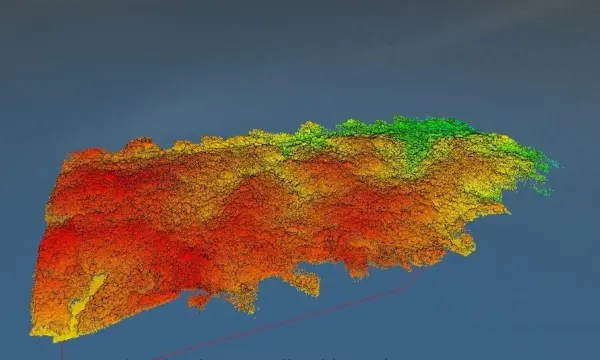Data drone LiDAR untuk hutan