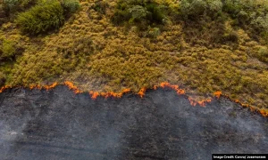 drone pantau el nino