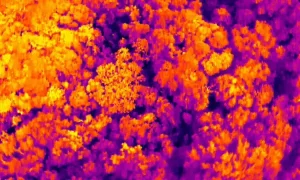 drone thermal